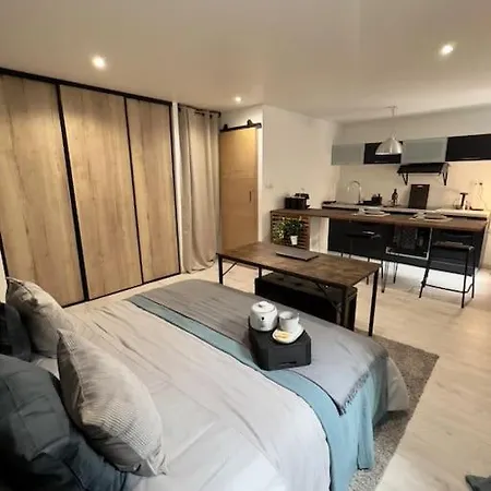 L'indus -hyper Centre, Calme- Apartment Saint-Etienne (Loire)