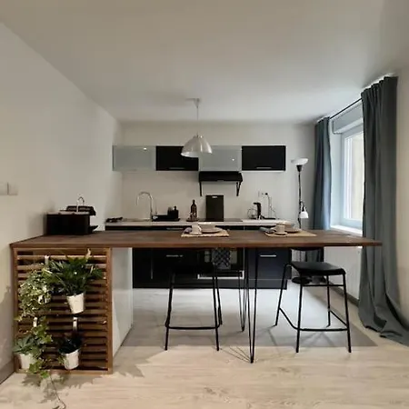 Apartment L'indus -hyper Centre, Calme- Saint-Etienne (Loire)